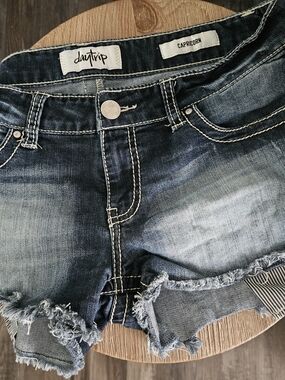 Buckle Exclusive Daytrip Capricorn Shorts